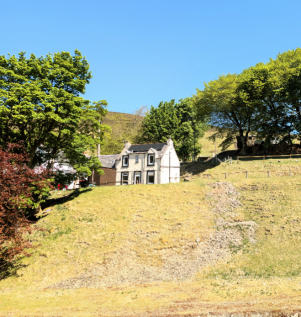 Front Garden Area