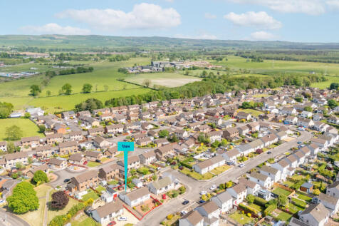 Aerial Plot View