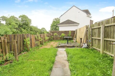 Back Garden