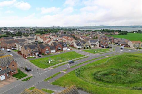 Drone Shot of Dunlin Walk