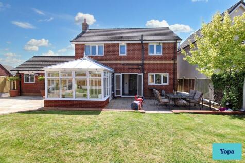 Back Garden