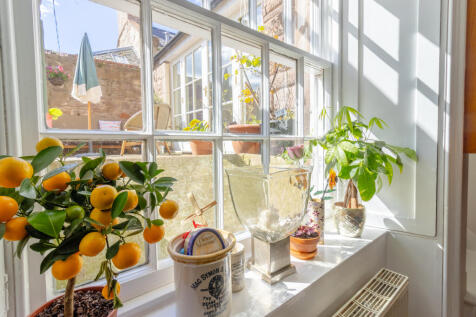 Kitchen Window