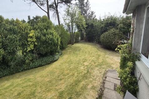 Rear Garden 2
