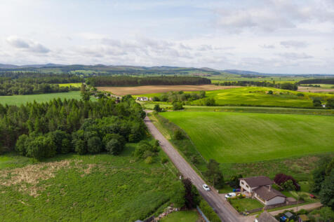 View Of The Surroundings