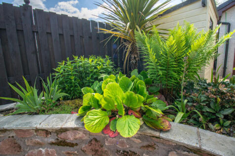 Planters