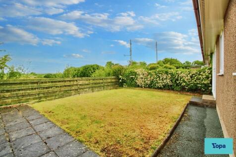 Back garden