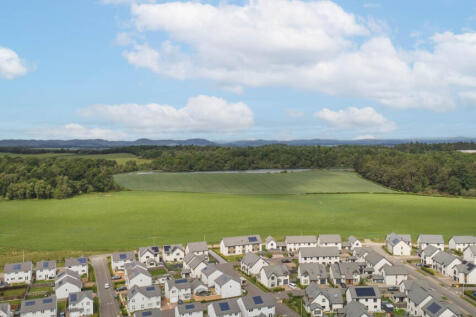 View Of The Surroundings