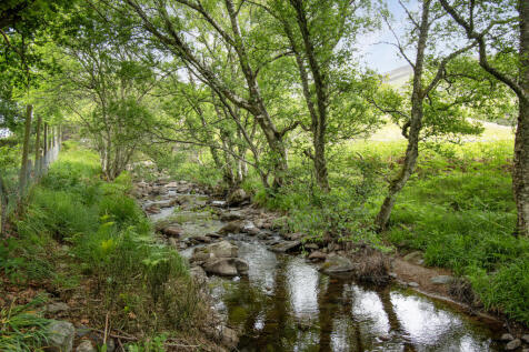 Waterside Stream