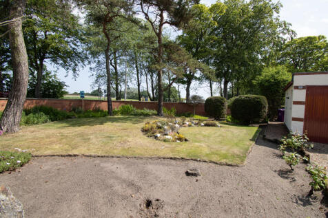 Side Garden