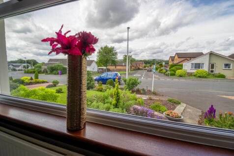 Lounge Window View