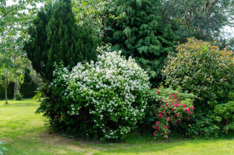 31_rear_garden_1