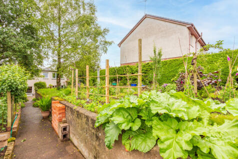 Vegetable Patch