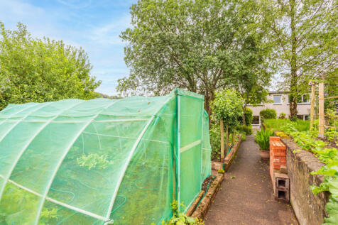 Vegetable Patch