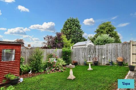 Back garden