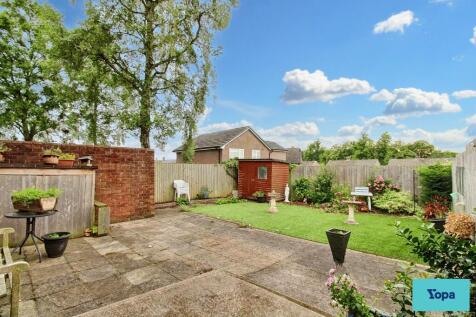 Back garden