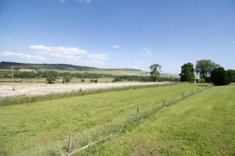 Garden/Field
