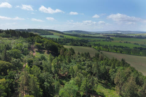 View Of The Surroundings