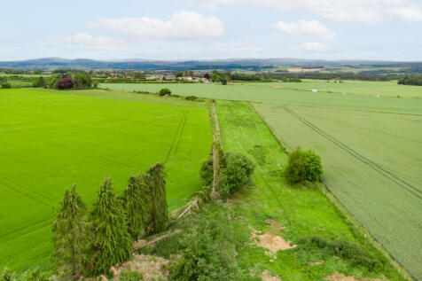 Grounds &amp; Views