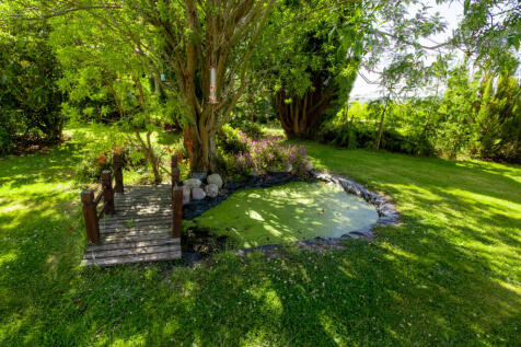 Pond
