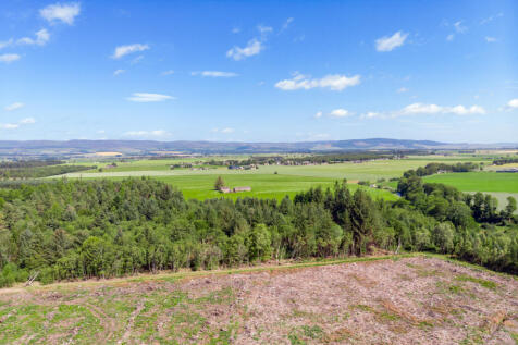 Surrounding Area
