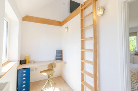 Study Area