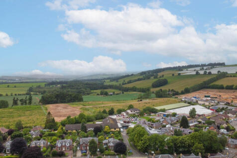 View Of The Surroundings