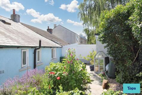 Back garden
