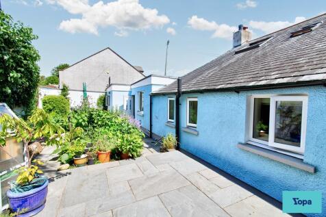 Back garden