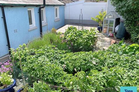 Back garden