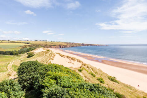 Nearby Beach