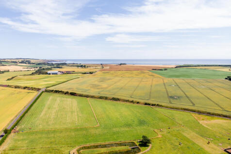 Aerial of Coastline