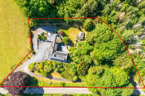 Aerial Plot View