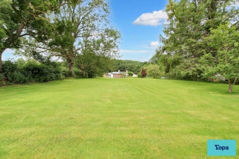 Back garden.