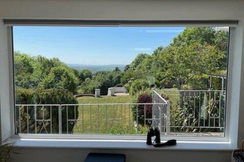 View From Window