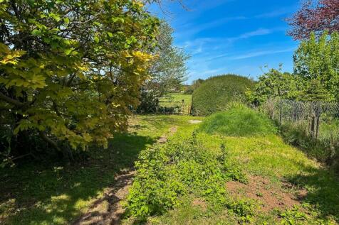 Rear Garden (End)