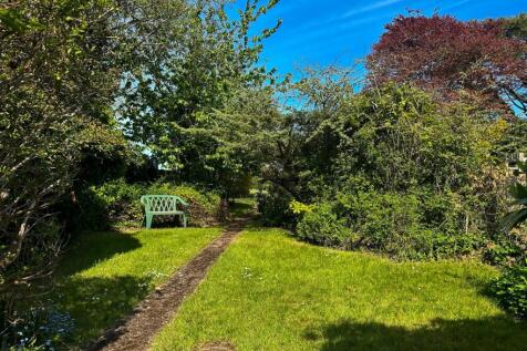 Rear Garden (Middle)