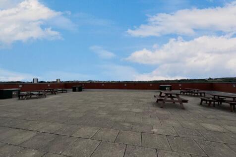 Bbq Area