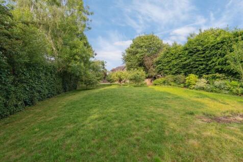 garden two.jpg