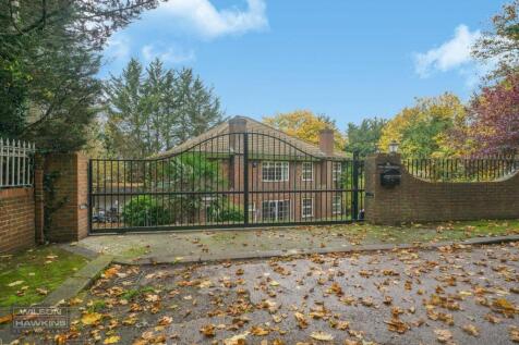 The Squirrels, Mount Park Road - BuAwgKXzu44lL9F31