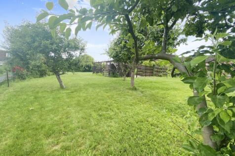 Orchard