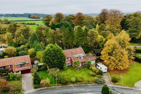 Thumbnail_DJI_20241031103437_0039_D