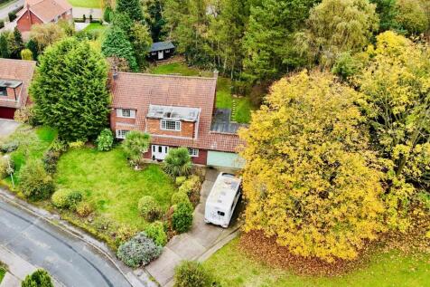 Thumbnail_DJI_20241031103502_0041_D