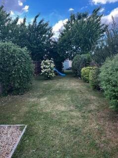 Garden 3