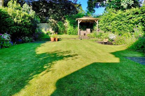 Summer Shot Of Garden