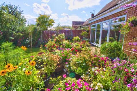 REAR FLOWER AREA