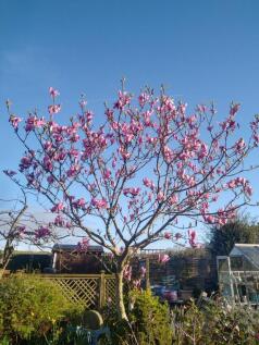 IMG-20240405-WA0001