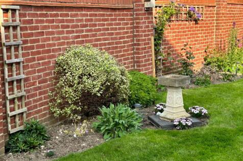 Garden,