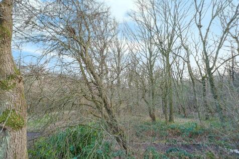 Woodland to Rear of the Property