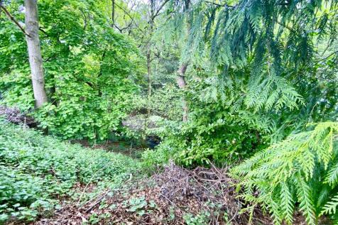 Woodland stream