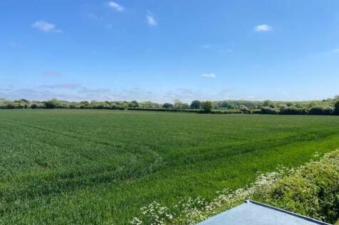 Field view